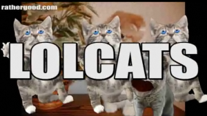 lolcats LOLCATS