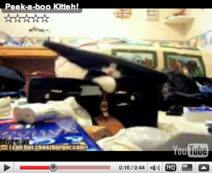 Peek-a-boo Kitteh! Peek-a-boo Kitteh!